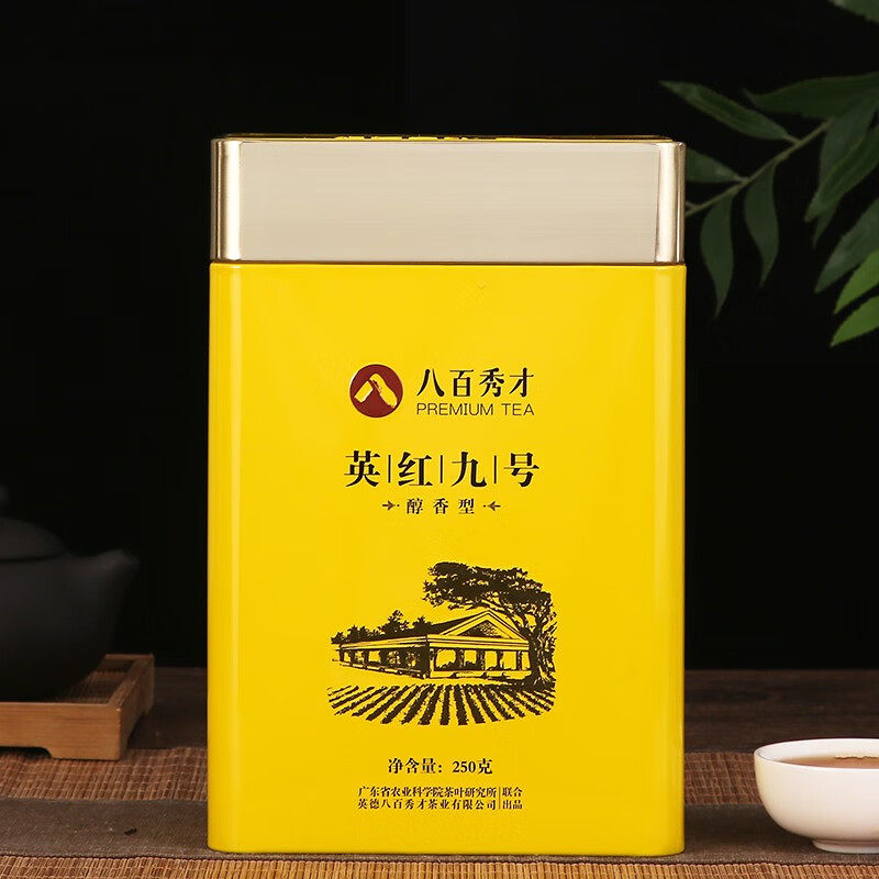 八百秀才英红九号广东特产正宗英德红茶醇香型一级功夫红茶养胃茶图片