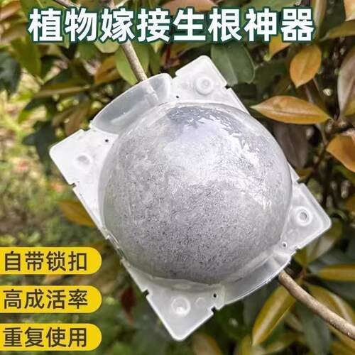 热销植物高压嫁接盒繁殖球生根包控根神器果树扦插育苗背枝园艺林