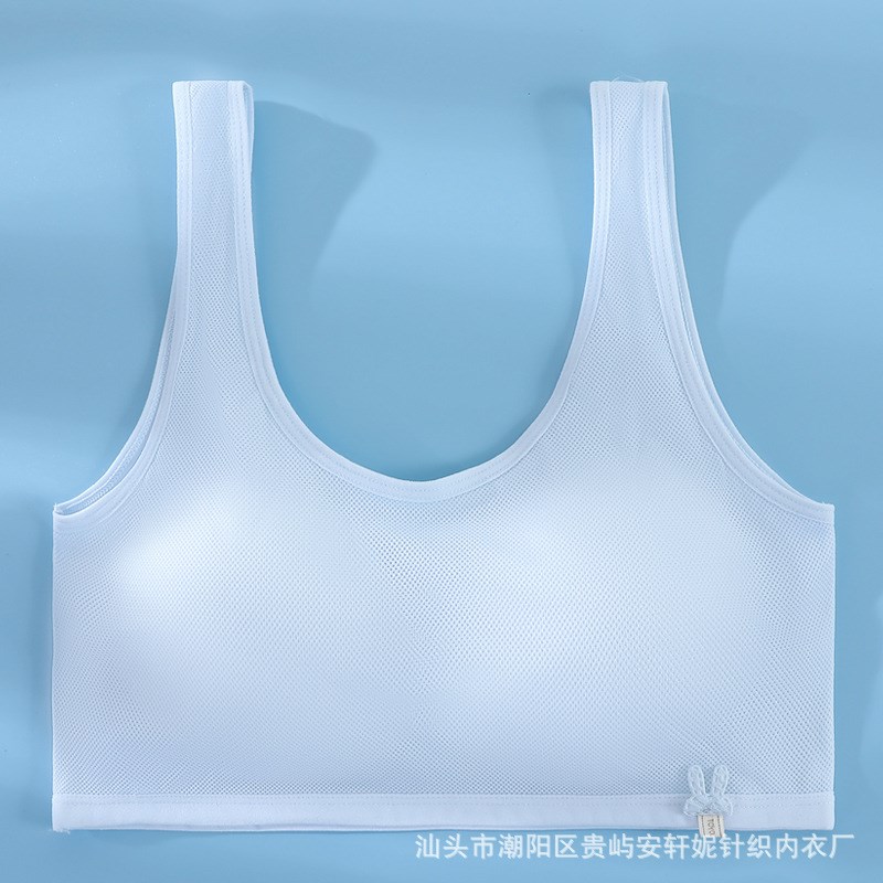 少女发育期运动内衣女初中生高中防震跑步固定杯女V孩二三阶段文