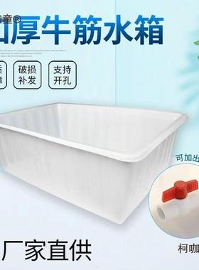 带盖塑料养鱼牛筋30528号大排水带加厚泡龟水水箱长方形瓷养殖储