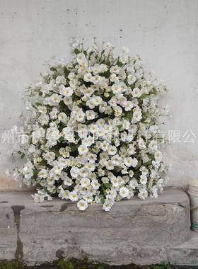 仿真道蝴蝶树头树花冠丛堆景网红打卡拍花照具假lj200花树白色雏