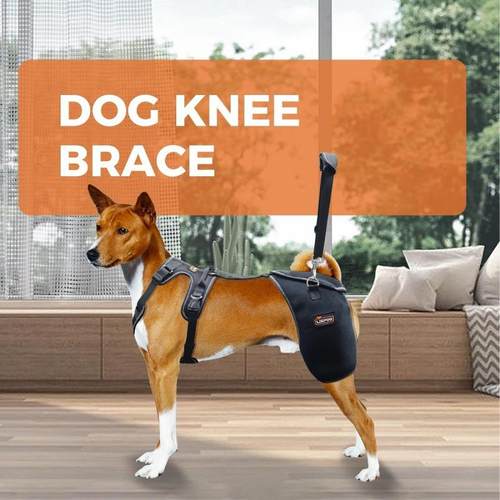 跨关境热卖宠狗髋节护膝支架BR209X用适于缓解疼痛保护发育物不良