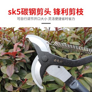 滑轮m省力高枝剪 双头高空剪 双用刀头高枝剪园林工具