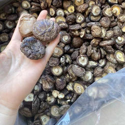 鹿茸菇特级福建漳平干香菇小包装散称炒菜煲汤