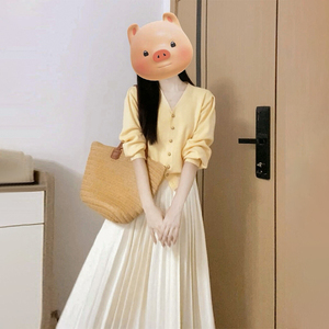 2024新款小香温柔风连衣裙子女早秋季小个子韩系穿搭针织套装长裙
