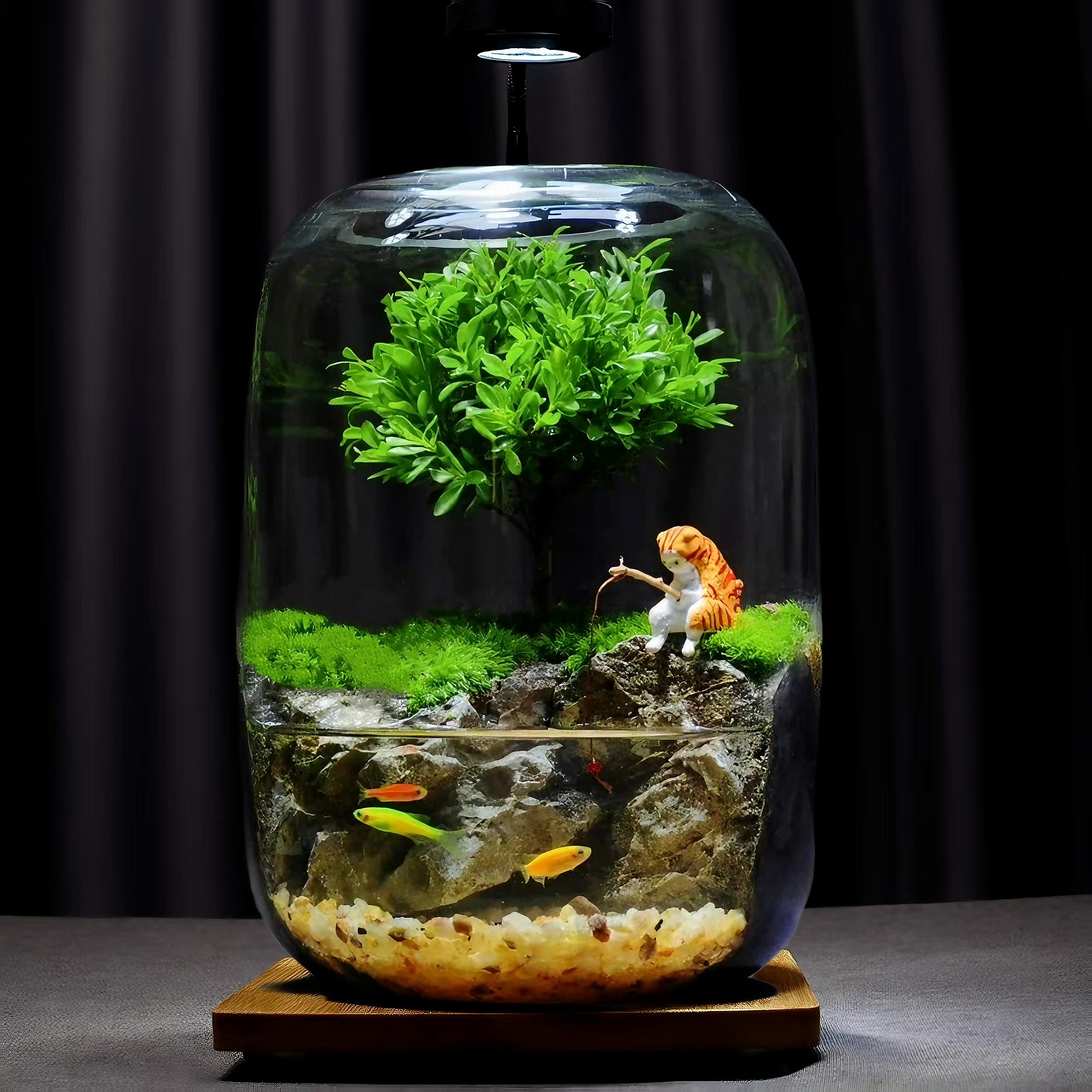 苔藓微景观生态瓶造景植物桌面创意摆件玻璃养鱼森林雨林生态鱼缸