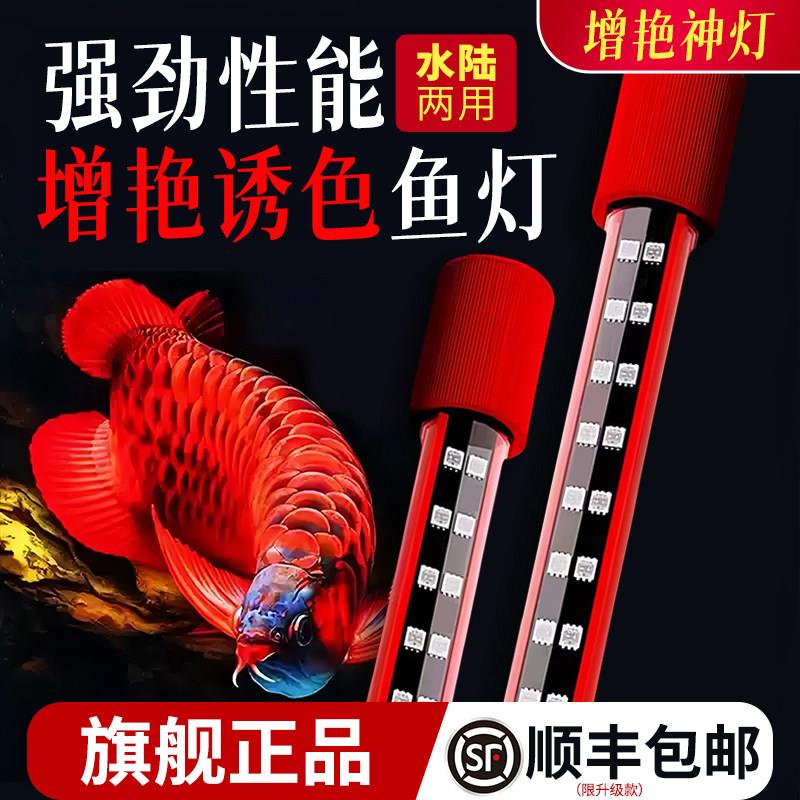 红龙专用发色灯三基色防水LED增色灯鱼缸龙鱼增艳灯专业诱色神灯