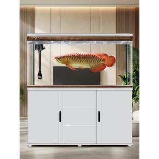 金龙鱼专用鱼缸中大型超清超白家用客厅办公室生态造景观赏鱼鱼缸