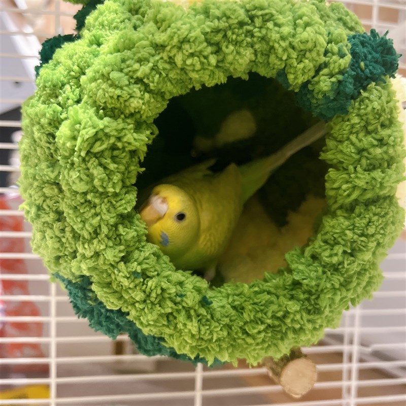 鹦鹉文鸟牡丹虎皮保暖过冬天神器保温毛绒秋冬鸟窝加厚棉鸟屋玩具