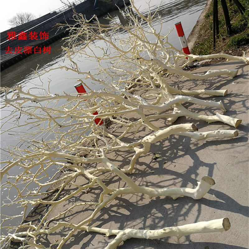 干树枝去皮原木树干枯树枝带分枝带杈树枝室内挂灯干花插花瓶装饰
