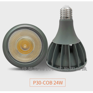 P20替代金卤灯节能光源 超亮24W32W45W帕30LED射灯泡E27大口PAR30