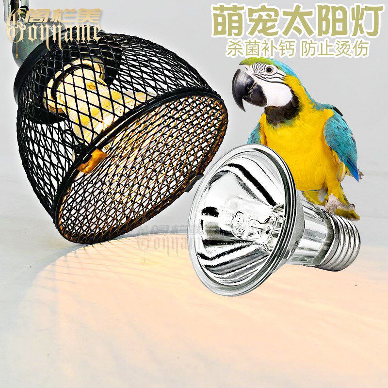 E27螺口晒背灯加温灯爬虫养殖箱UVB大太阳灯繁殖箱保温灯爬宠灯具,宠物/宠物食品及用品,爬宠灯具,淘宝优惠券,粉丝福利购,淘宝优惠卷