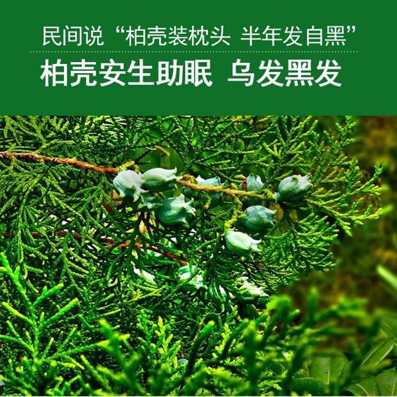 野生柏壳籽枕头中药枕侧柏壳安神乌发助睡眠天然香枕头黑发少白发