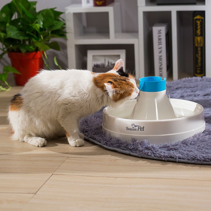 绿洲之光宠光宠物猫咪狗狗饮水机自动循环喝水器静音过滤芯棉活水