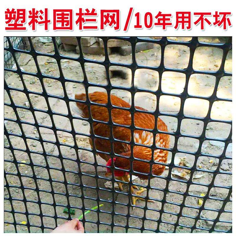 ll养鸡围栏网塑料网养殖网围栏家用拦鸡网果园护栏网格防护网菜园图片