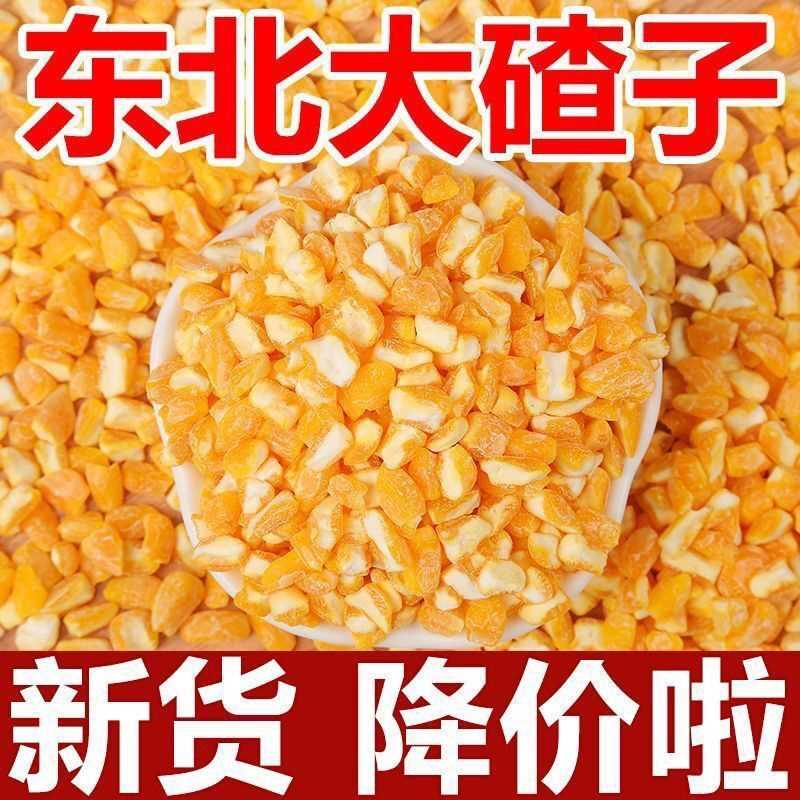 玉米特产碴子笨大碴子东北农家现磨苞米杂粮新鲜非转基因玉米碴子