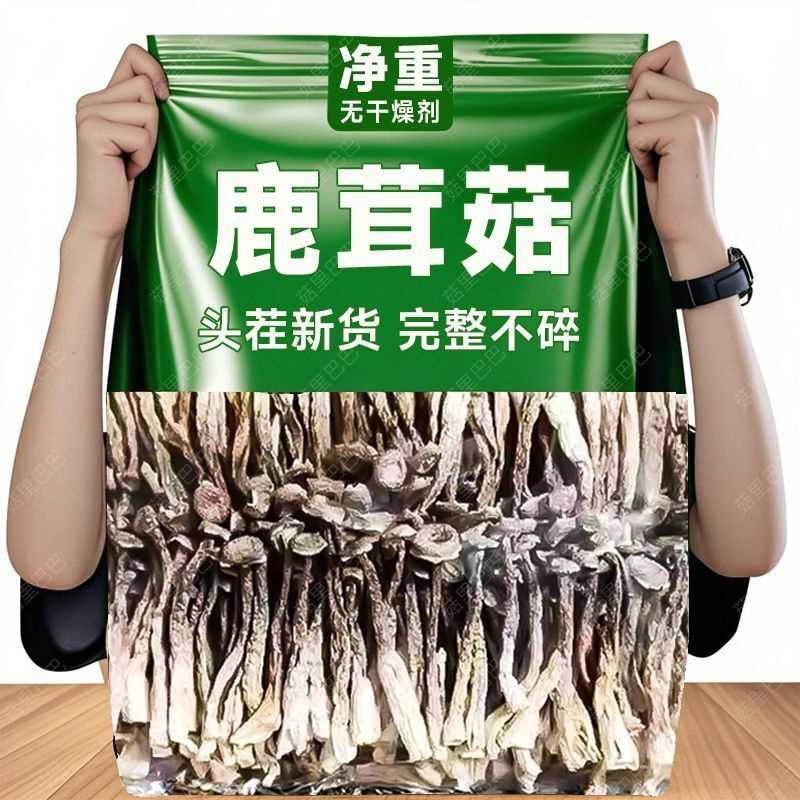【无干燥剂】菇里巴巴鹿茸菇批发农家特产鹿茸菌枇杷叶鹿耳菇脆嫩