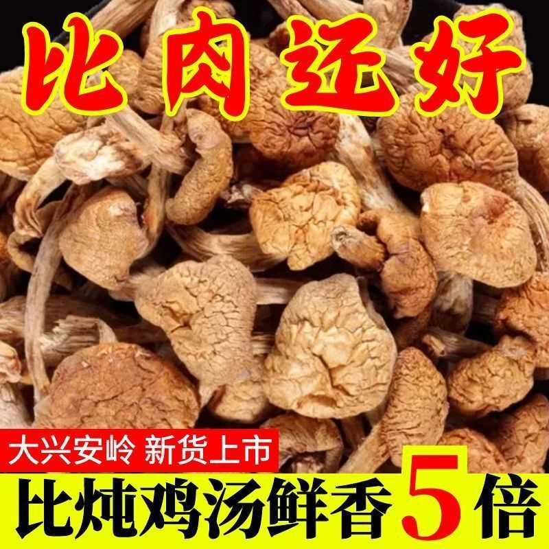 【足斤足两】新货滑子菇干货新鲜滑子蘑滑菇干东北特产菌批发价