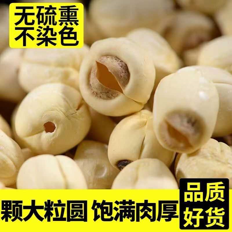 【建宁莲子】正宗福建农家自产新鲜手工半去芯白莲子特干级货散装