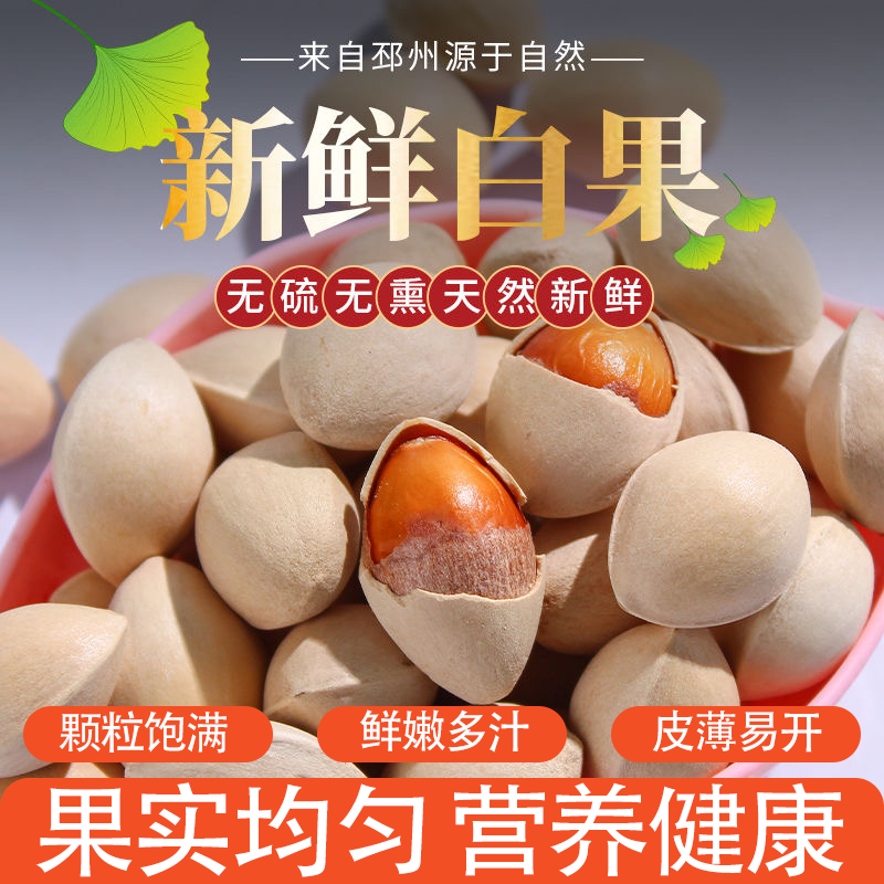当季新货精选银杏果当季生白果带壳大果果仁均匀营养健康皮薄易开