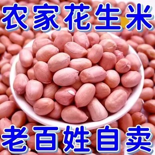25年新花生米现剥无壳新鲜大粒白沙花生米榨油花生油炸批发