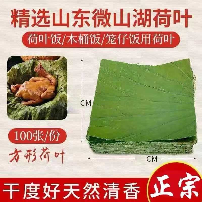 微山湖新鲜干荷叶方形裁片荷叶饭糯米鸡包子馒头蒸笼通用真空包装