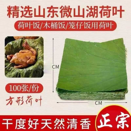 微山湖新鲜干荷叶方形裁片荷叶饭糯米鸡包子馒头蒸笼通用真空包装