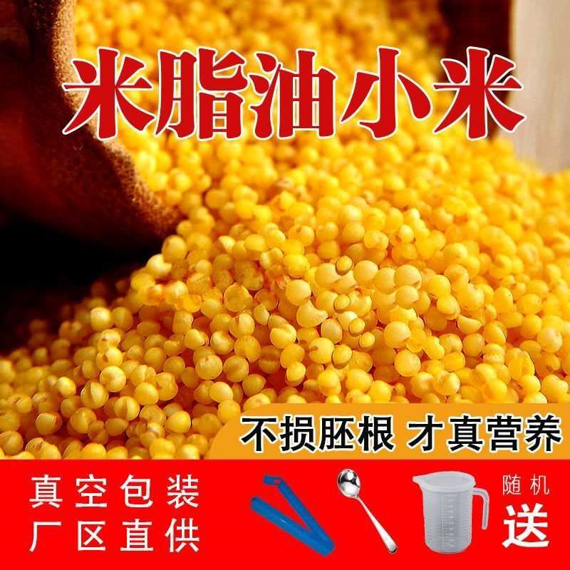 黄小米新米2025农家米油糯小米五谷杂粮米脂真空优质熬粥小黄米