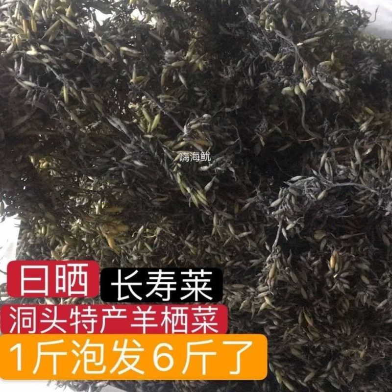 温州洞头特产 羊栖菜干货长寿菜鹿角菜海藻新菜包邮