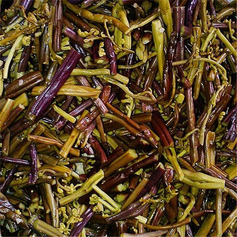 贵州黔东南特产手工野生蕨菜酸蕨菜2025年酸蕨菜开胃下酒菜