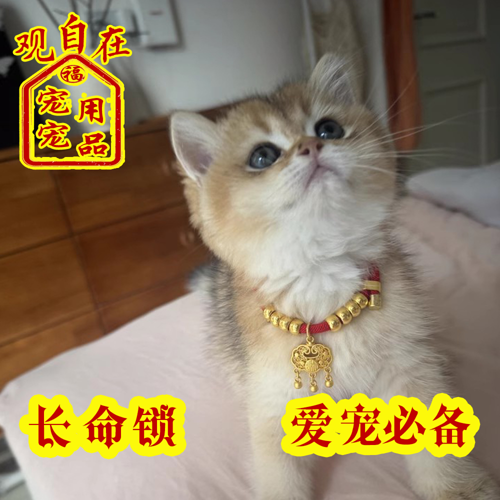 普陀山宠物护身符长命锁福绳红绳