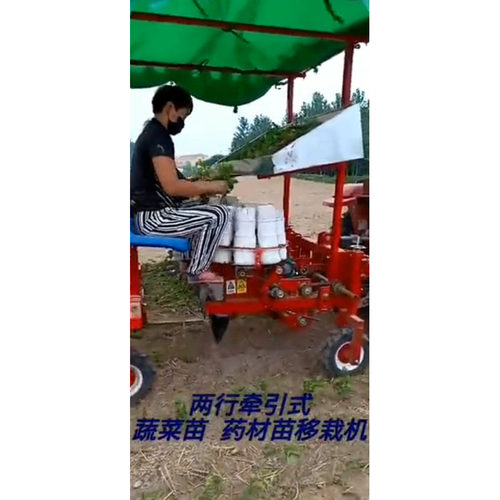 大棚秧苗蔬果苗木移栽机 山地丘岭秧苗种植机 三点悬挂式移栽设备