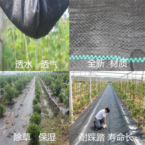 新型黑色除草布加厚农用防草地布果园蔬菜大棚保温保湿透水耐踩踏