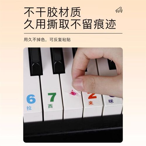 键盘贴88键61键54键儿童初学入门钢琴电子琴简谱音调键盘透明贴纸