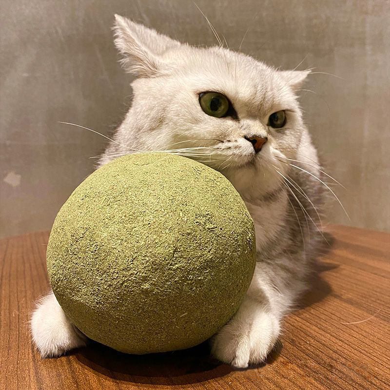 超大号猫薄荷球巨型虫瘿果猫玩具自嗨解闷耐咬小猫用品逗猫棒磨牙