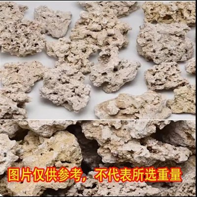 印尼爪哇石海鱼缸造景代替活石片状天然干岩免爆藻死石培菌珊瑚缸