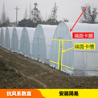 花卉多肉椭圆管养殖养猪蔬菜温室大棚骨架钢管全套花棚养殖大棚