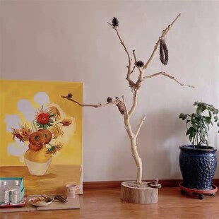 干树枝原木杈艺术干枝枯木树干鸟站架造型壁鹦鹉站架吊顶龙骨装饰