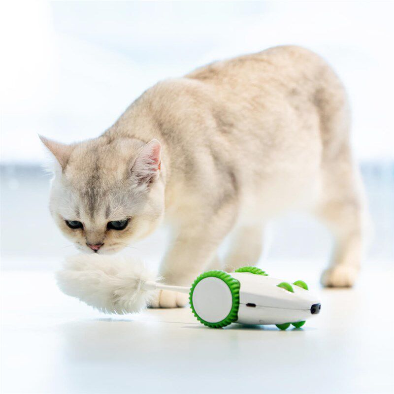 贵为疯狂老鼠猫电动玩具 猫咪自嗨解闷 自动逗猫棒 幼猫宠物用品