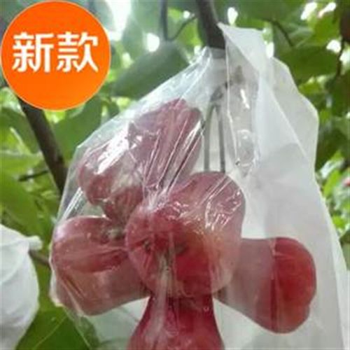 莲雾套袋专用袋洋浦桃日光袋荔枝龙眼防水袋防虫半透明套袋侧开窗