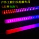 led数码 防水单色线条灯门头广告跑马灯霓虹灯管 管七彩护栏管户外