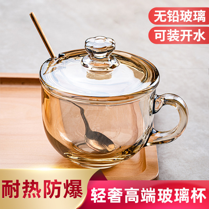 高颜值玻璃杯耐高温带把手家用泡茶咖啡大容量燕麦牛奶早餐杯带盖