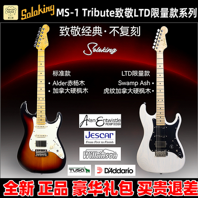 麦口罩MS-1致敬系列电吉他