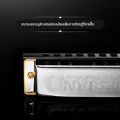 德国HOHNER和来布鲁斯10十孔口琴学生初学者BLUES BAND