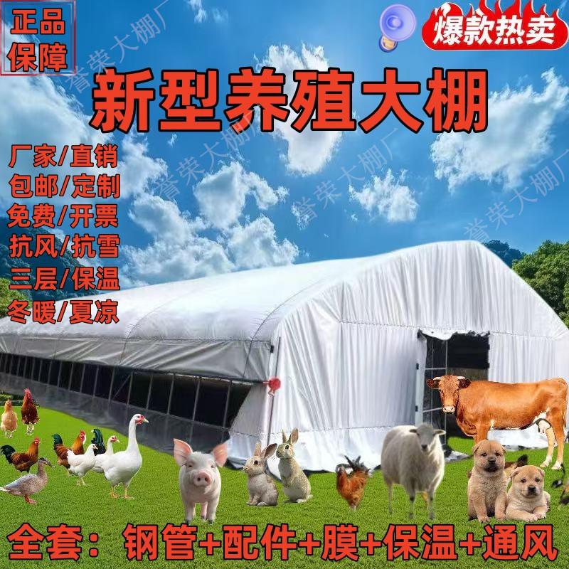 大棚钢管骨架养殖鸡鸭鹅猪牛羊大棚配用全套种植家用温室大棚