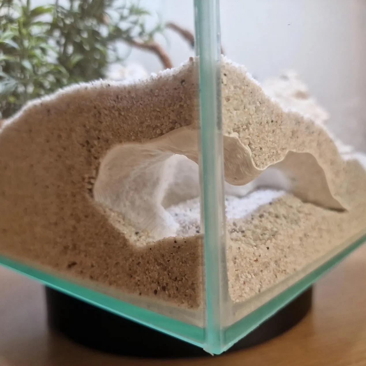 鱼缸造景天然仿真洞穴守宫蛇鱼虾爬宠躲避地下洞穴观赏洞造景装饰