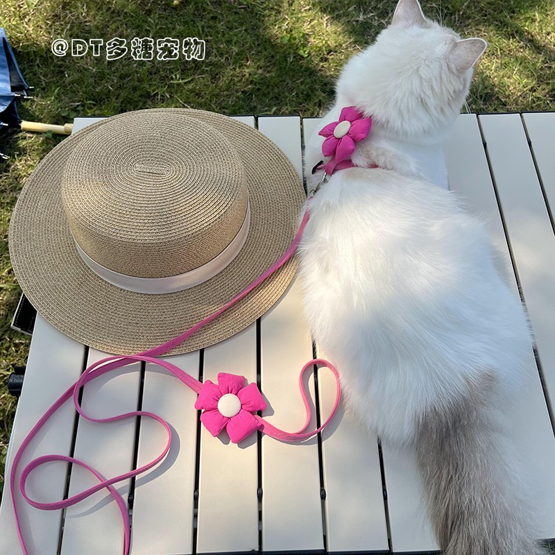 热销小奶猫茶杯犬超小码猫咪牵引绳可爱宠物外出防挣脱绳子遛狗遛