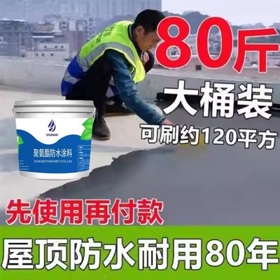 热销雨虹防水屋顶房顶裂缝漏水渗水材料平房楼顶堵漏王雨虹防水涂