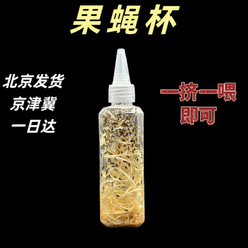 果蝇杯活体饲料螳螂跳蛛饲料大果蝇树蛙馒头蛙食物