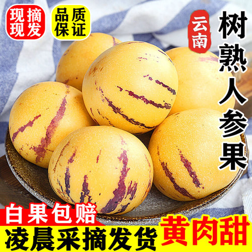云南树熟人参果圆果黄肉水润多汁